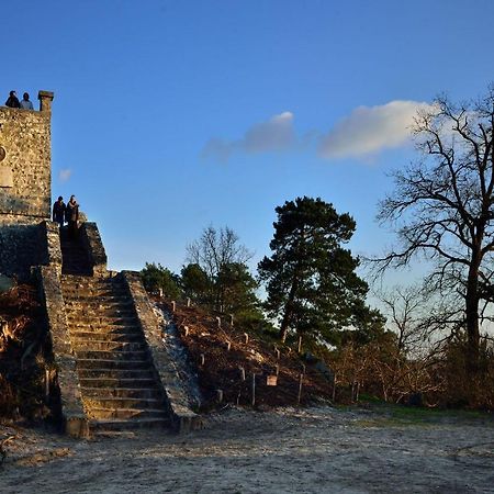 Le Denecourt - A Deux Pas De La Gare Et De La Foret De Fontainebleau Avon Luaran gambar